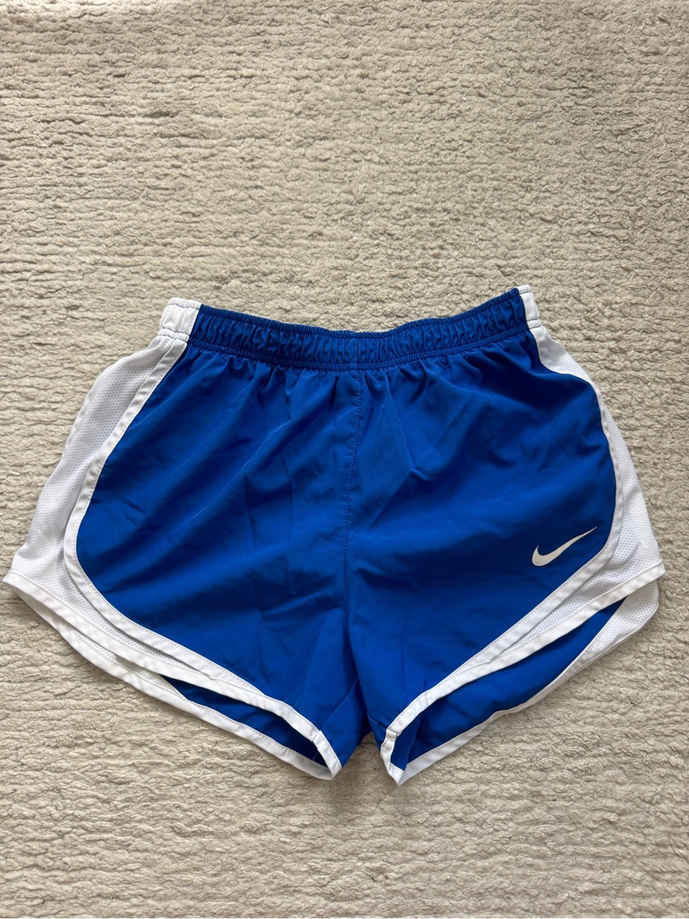Nike Women’s Royal Blue and White Athletic Shorts